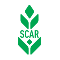 Scar